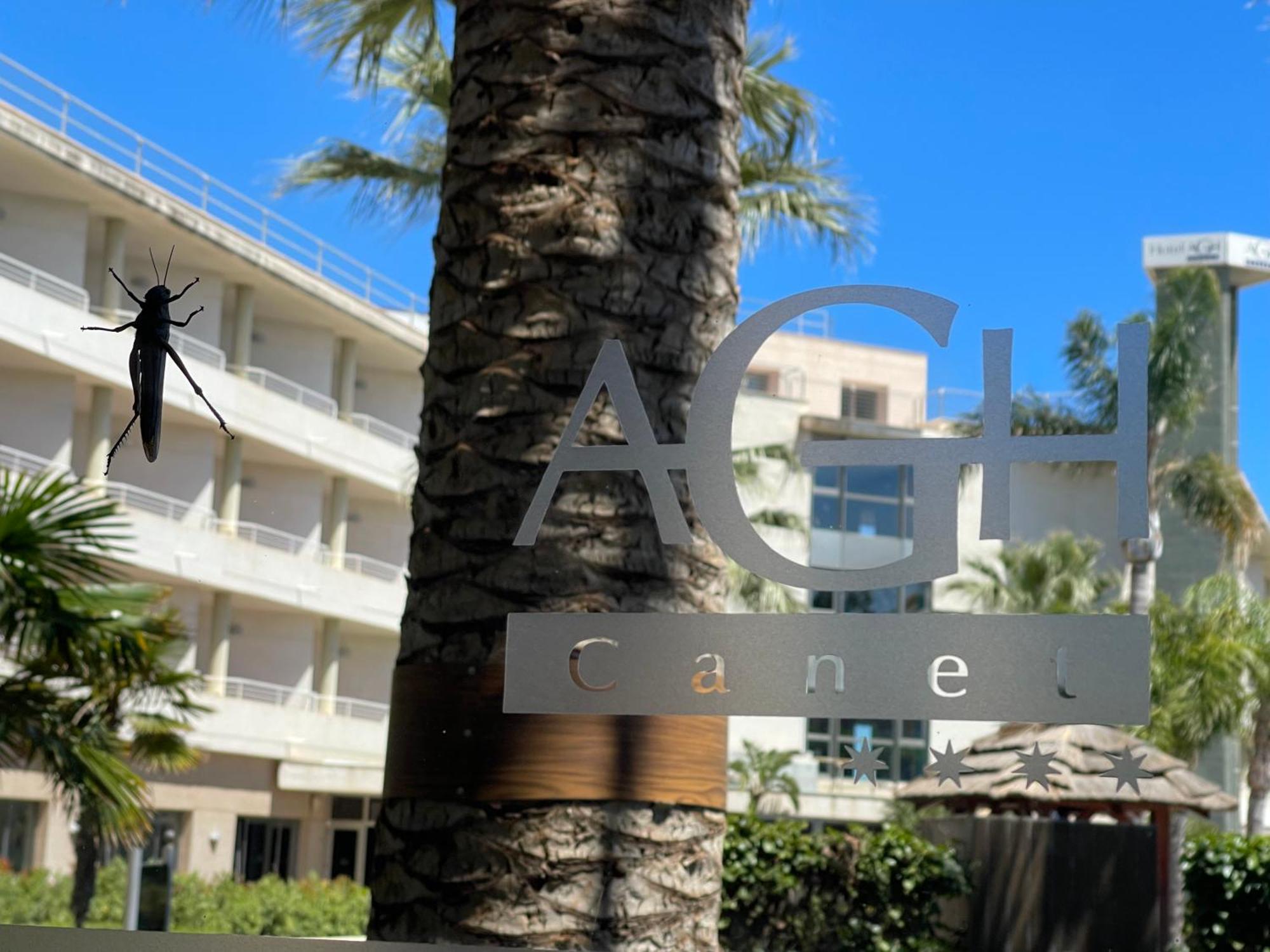 Canet d'En Berenguer Agh Canet מראה חיצוני תמונה